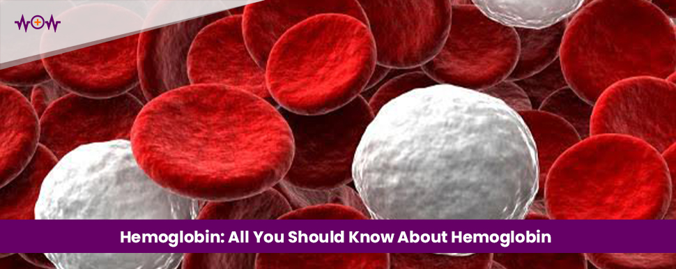 Hemoglobin: All You Should Know About Hemoglobin
